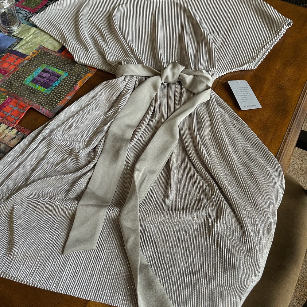 BNWT from Nordstrom - Short Silver dress by The Vanity Room in Large.